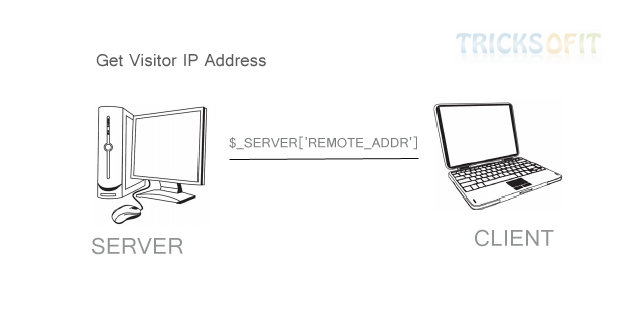 Get Visitor IP Address