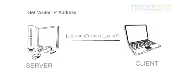 Get Visitor IP Address